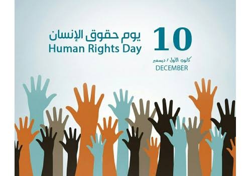 Yemen: Rights Radar Monitors More Than 2,268 Abuses committed by Parties to Conflict, Including 558 Killings, and Houthi Militia Tops List